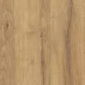 Dąb naturalny